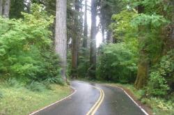 Sol Duc Road