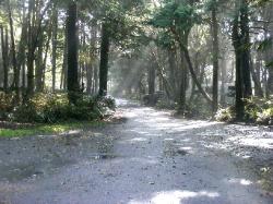 Kalaloch Loop B