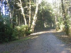 Kalaloch Loop C