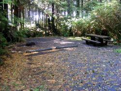 Kalaloch Site C17