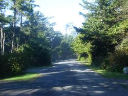 Kalaloch Loop D