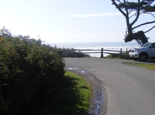 Kalaloch Loop D