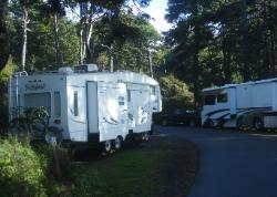 Kalaloch Site D38