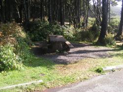 Kalaloch Site E5