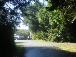 Kalaloch Loop F