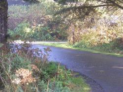 Kalaloch Loop F