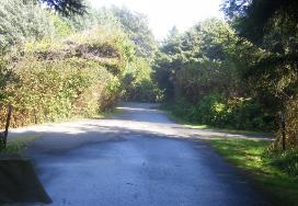 Kalaloch Loop F