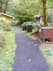 Hoh Campground Olympic National Park