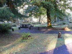 Loop A Site 05 Hoh Campground Olympic National Park