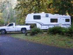 Loop A Site 08 Hoh Campground Olympic National Park