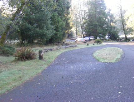 Loop A Site 15 Hoh Campground Olympic National Park