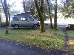 Loop A Site 23 Hoh Campground Olympic National Park