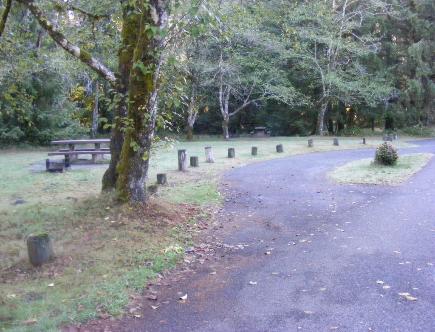 Loop A Site 27 Hoh Campground Olympic National Park