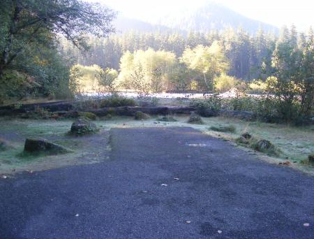 Loop A Site 29 Hoh Campground Olympic National Park