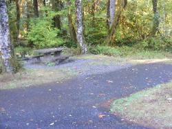 Loop A Site 32 Hoh Campground Olympic National Park