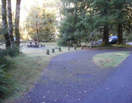 Loop A Site 33 Hoh Campground Olympic National Park