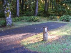 Loop A Site 34 Hoh Campground Olympic National Park