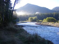 Hoh Campground Olympic National Park