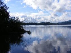 Lake Quinault Olympic National Park