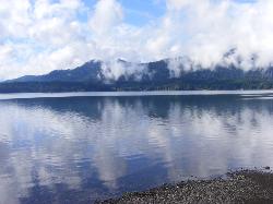 Lake Quinault Olympic National Park