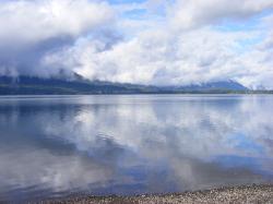 Lake Quinault Olympic National Park