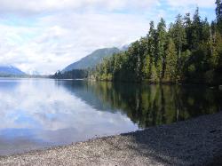 Lake Quinault Olympic National Park