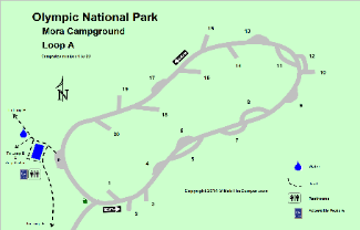 Mora Campground Loop A  Detail - Olympic National Park