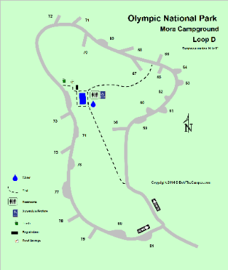 Mora Campground Loop D Detail - Olympic National Park