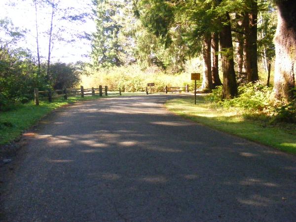 Mora Campground - Olympic National Park