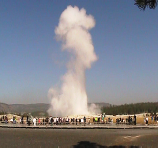 Yellowstones Old faithful erupting