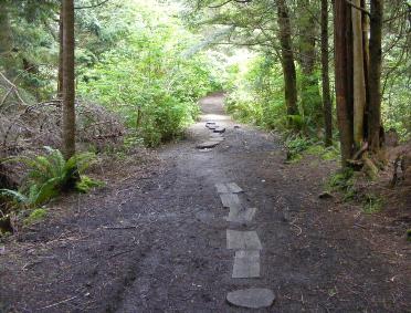 Olympic National Park Cape Flattery Stepping Stones