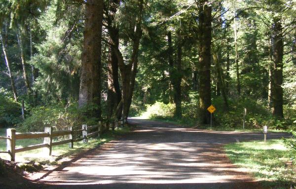  Olympic National Park Mora Campground