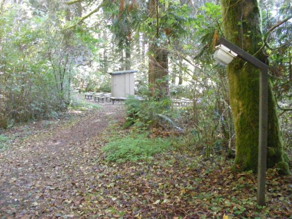 Olympic National Park  - Rialto Beach - Mora Campground Path to Amphitheatre