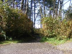 Ruby Beach - Olympic National Park