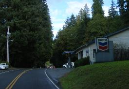 Road into Quinault Wa