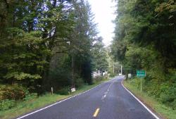 Lake Quinault Olympic National Park