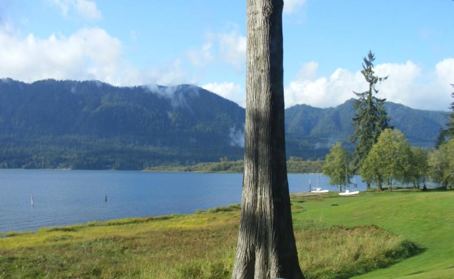 Lake Quinault Olympic National Park