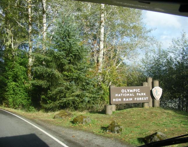 Hoh Rain Forest Area 