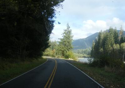 Hoh Rain Forest Area