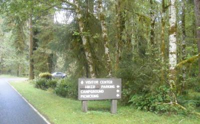 Hoh Rain Forest Area 