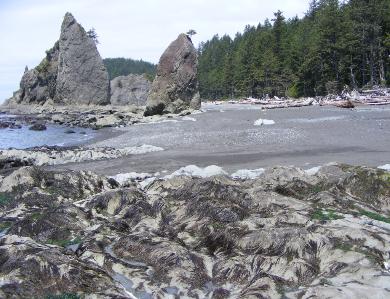 Rialto Beach - Olympic National Park