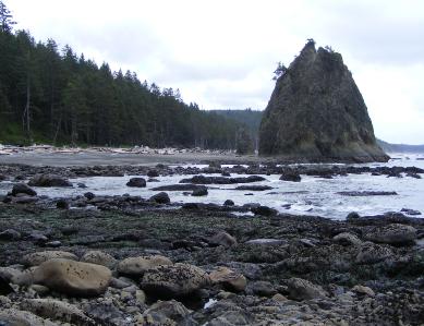 Rialto Beach - Olympic National Park