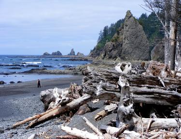 Rialto Beach - Olympic National Park