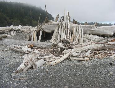 Rialto Beach - Olympic National Park - Rialto Hilton