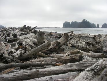 Rialto Beach - Olympic National Park