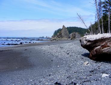 Rialto Beach - Olympic National Park