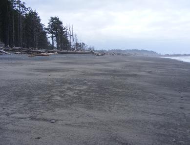 Rialto Beach - Olympic National Park