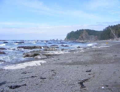 Rialto Beach - Olympic National Park