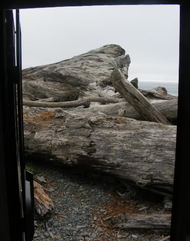 Rialto Beach - Olympic National Park