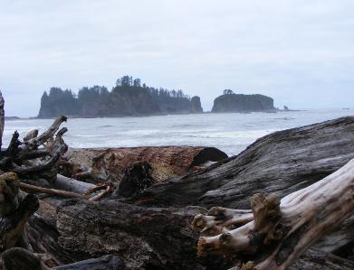 Rialto Beach - Olympic National Park